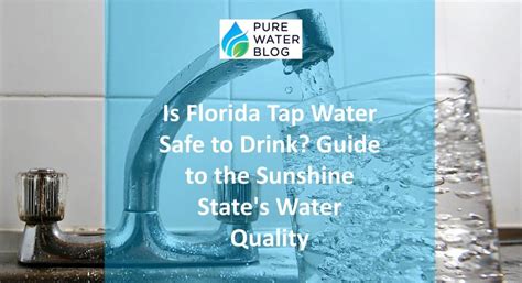 Is Florida Tap Water Safe To Drink Guide To The Sunshine State’s Water Quality Water Treatment