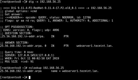 How To Setup A Dns Dhcp Server Using Dnsmasq On Centos Rhel 8 7