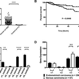 RHAMM Gene Expression Is Associated With Poor Prognosis A The