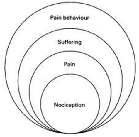 Psychosocial Aspects Of Pain Flashcards Quizlet