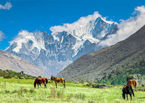 Langtang National Park: Nepal's Hidden Gem of Breathtaking Beauty"-"Explore the Enchanting ...