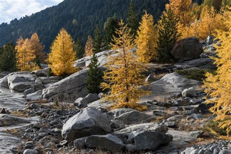 Free Images Landscape Tree Nature Rock Wilderness Snow Winter