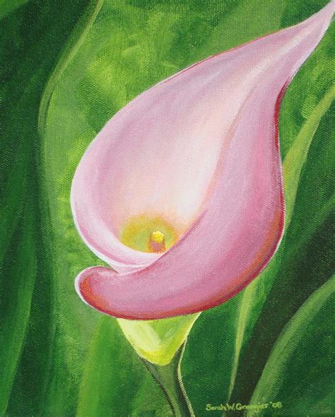 Calla Lily Painting By Sarah Grangier