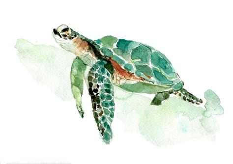 Sea turtle watercolor print sea turtle painting sea life | Etsy