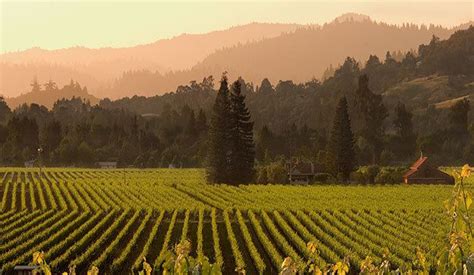 Russian River Valley AVA - Alchetron, the free social encyclopedia