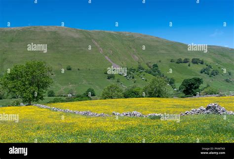 Wildflower Meadow In Full Bloom Near Ravenstonedale Cumbria Inside