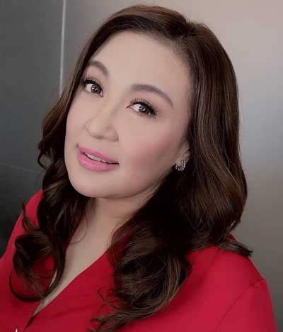 Plan B For Sharon Cuneta The Manila Times