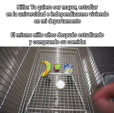 Me Refiero A Cuando Ya Es Adulto Y Viviendo Solo Meme Subido Por