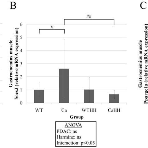 A Relative Mrna Expression Of Il In The Gastrocnemius Muscle With