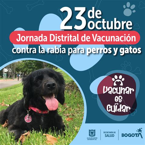 Jornada distrital de vacunación contra la rabia para perros y gatos 23