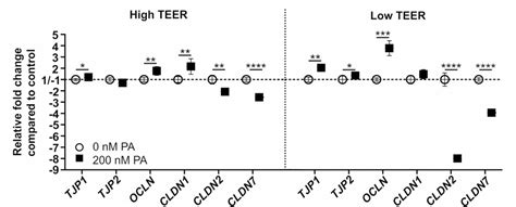 Figure 1 From Mitochondrial ATP Depletion Disrupts Caco 2 Monolayer