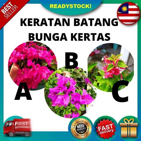Bunga Kertas Keratan Batang Shopee Malaysia