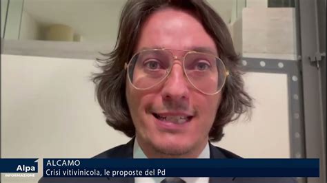 Crisi Vitivinicola Le Propose Del Pd Per Trovare Milioni Da Dare Ai