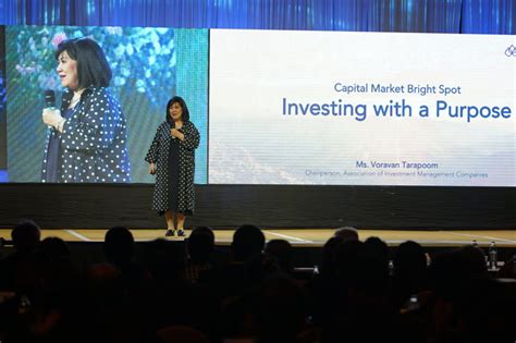 cg fund  investment tool  boost governance standard anti