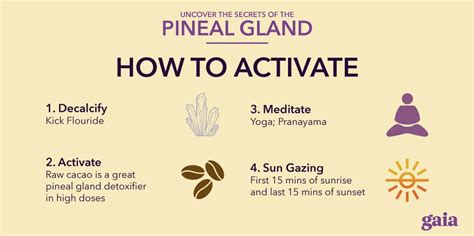 How To Decalcify And Activate Your Pineal Gland Pinealgland