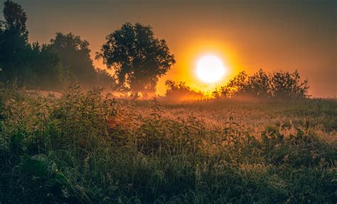 Caldo anomalo in Emilia Romagna le previsioni meteo di metà settembre