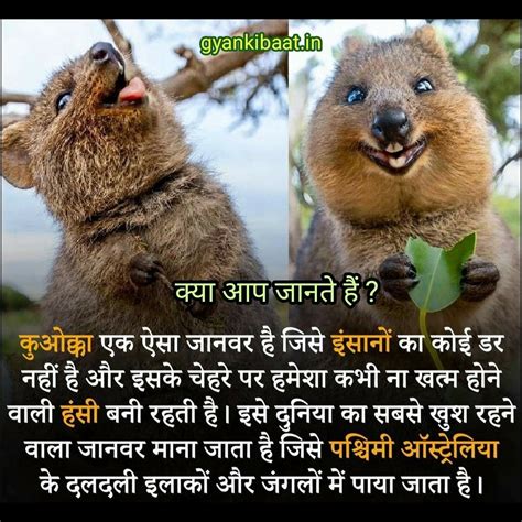 Best Interesting Facts In Hindi Artofit