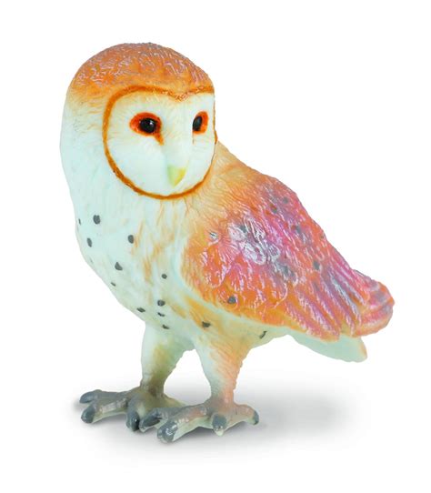 Collecta 88003 Barn Owl Animal Figures At Spielzeug Guenstigde