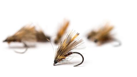 Grannom Sedge Fly Tying Caddis Fly Fishing Woodcock Cdc Youtube