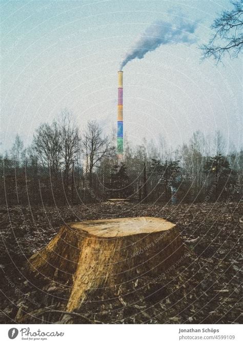 Baumstumpf von gefälltem Baum vor Schornstein mit Rauch von fossilem