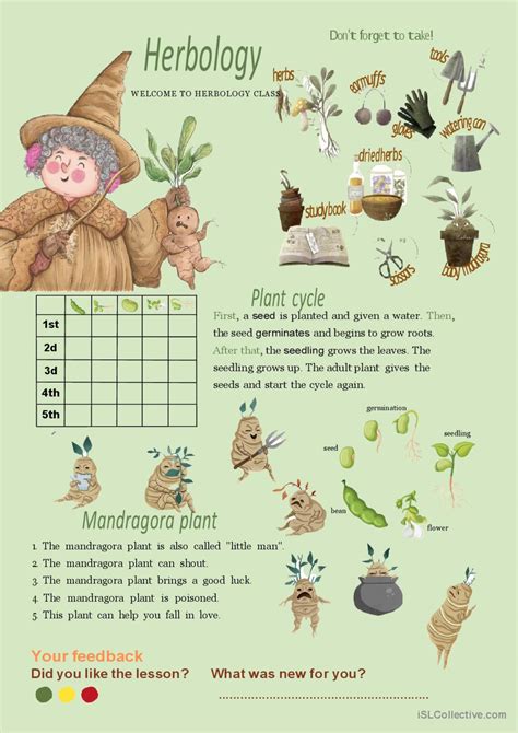 Herbology Facts At Jamessalleno Blog