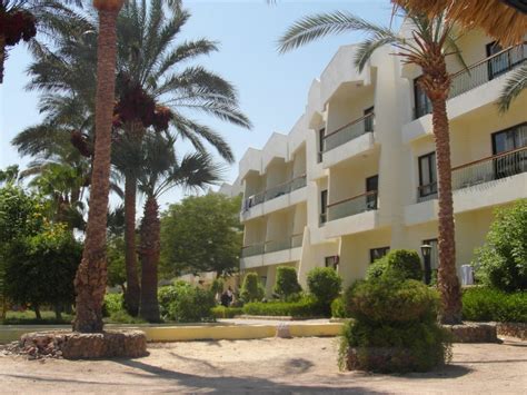 "Hotel" ZYA Regina Resort & Aqua Park (Hurghada) • HolidayCheck ...