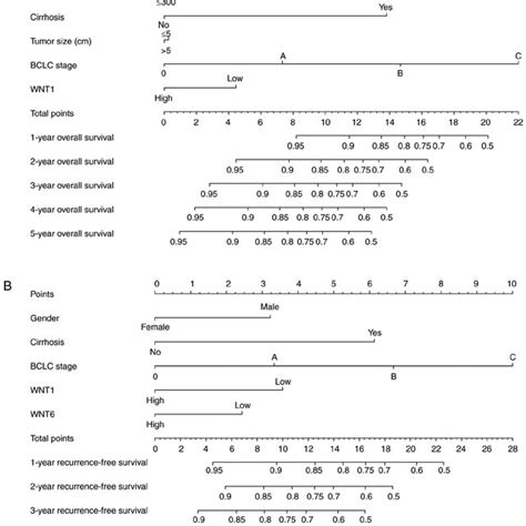 Prognostic Nomogram For Survival Prediction A Nomogram For Overall Download Scientific