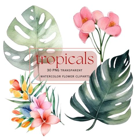 Tropical Watercolor Clipart Summer Clipart Tropical Clipart Tropical