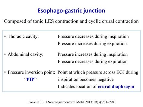 Diagnosis of sliding hiatal hernia | PPT | Free Download