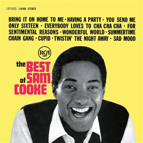 The Best Of Sam Cooke Vinyl Amazon Ca Music