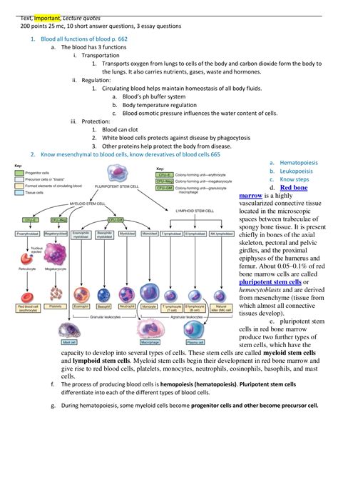 BIOS 255 Midterm Exam Review Study Guide Anatomy And Physiology III