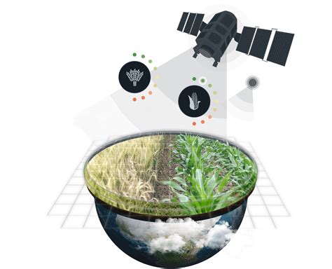 Predicción del Rendimiento de los Cultivos Mediante teledetección