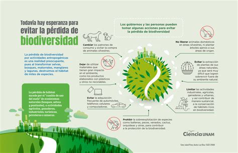 INFOGRAFÍA Detener la Pérdida de Biodiversidad Ciencia UNAM