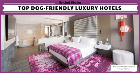 Top Dog-Friendly Luxury Hotels and Pet-Friendly 5 Star Boutique Hotels - Raising Your Pets ...