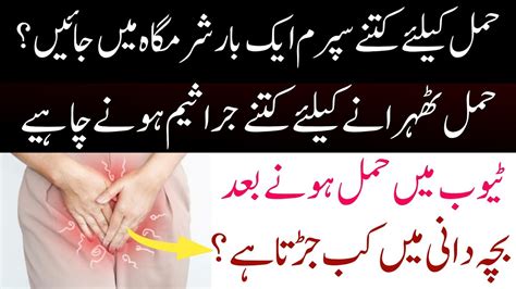 Normal Count To Get Pregnant In Male Jaldi Pregnant Hone Ke Liye Kia