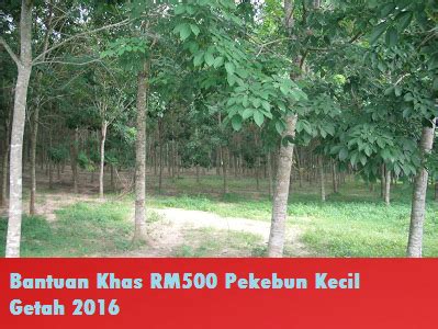 Bantuan Khas RM500 Pekebun Kecil Getah 2016 As