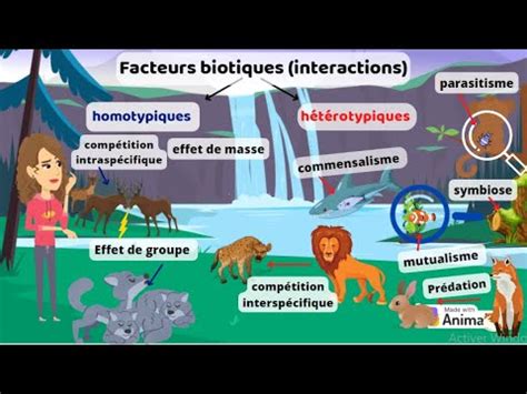 Facteurs biotiques interactions entre les espèces YouTube