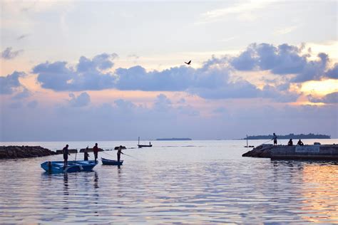 male maldives      male maldives stock