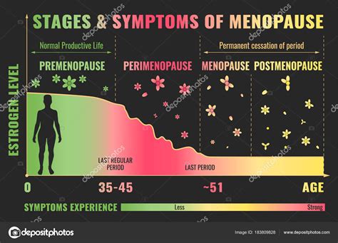 Stages Of Menopause Infographic Stock Vector Image By ©annyart 183809828