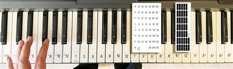 Numbered Notes Home Piano Key Stickers Because You Can