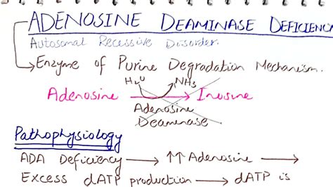 Adenosine Deaminase Deficiency Biochemistry Usmle Mbbs Youtube