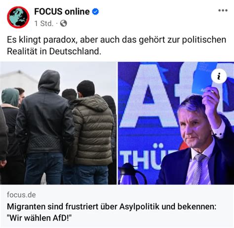 Hey lass uns doch unzählige Migranten einbürgern Dann ist uns eine