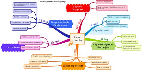 Synthèse Des Grandes étapes Du Développement De Lenfant