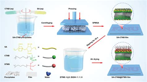 Illustration Of The Solid Phase Molecular Selfassembly Spmsa For