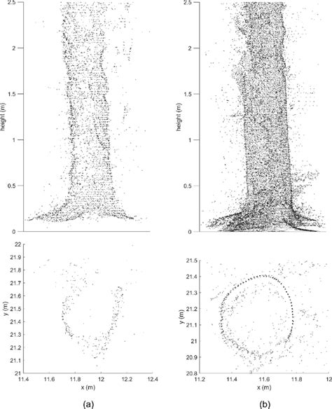 Visualization Of 3d Point Reconstruction Of One Tree Stem And Its