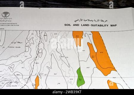 Kairo Gypten Januar Detaillierte Bodenuntersuchung Der