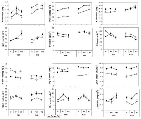 Effect Of Fungal Endophyte Status E Infected E