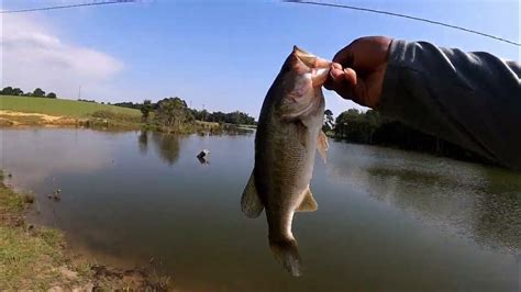 Pond Hopping Farm Ponds For Big Bass Youtube