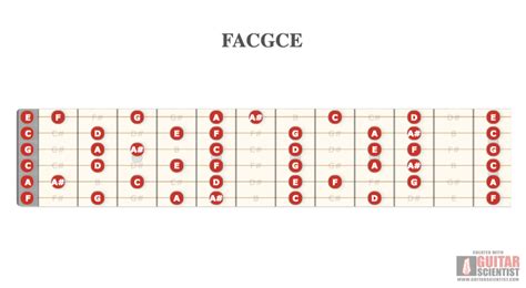 Guitar Scientist The Most Powerful Guitar Diagrams Editor Online