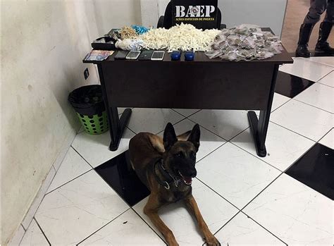 Polícia Militar de Campinas prende 3 por suspeita de tráfico de drogas